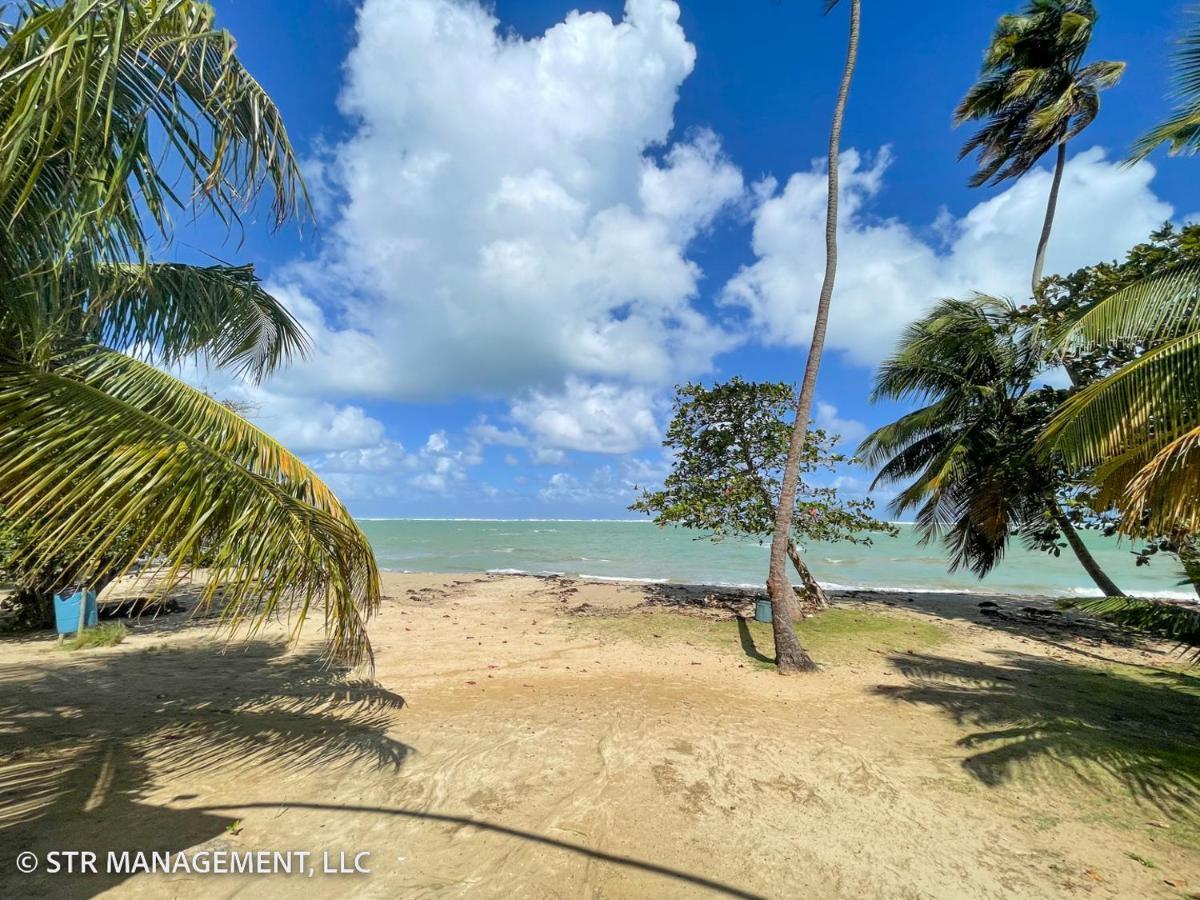 Upscale Condo At Aquatika Beach & Vacation Villas Loiza Buitenkant foto