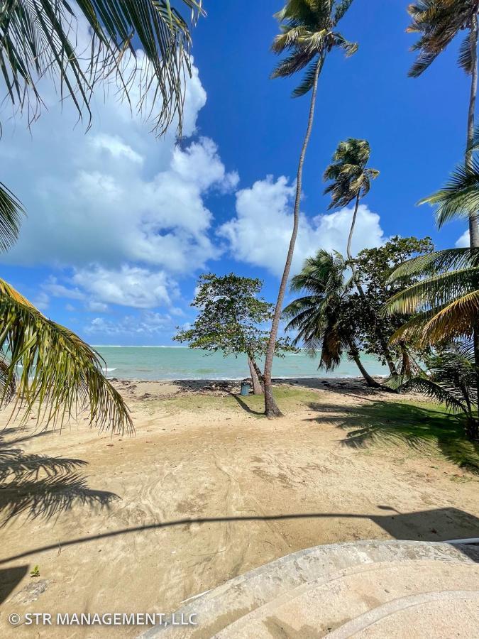 Upscale Condo At Aquatika Beach & Vacation Villas Loiza Buitenkant foto